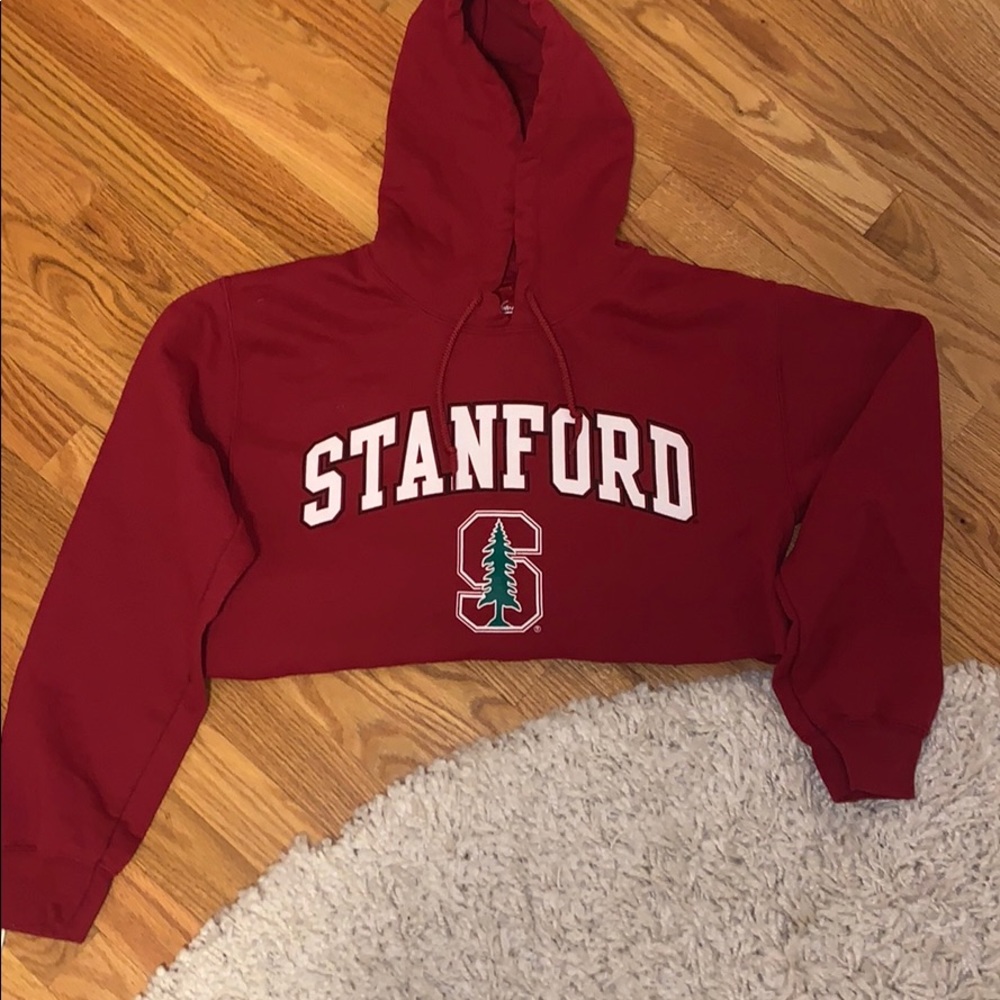 Stanford cropped hoodie, size small